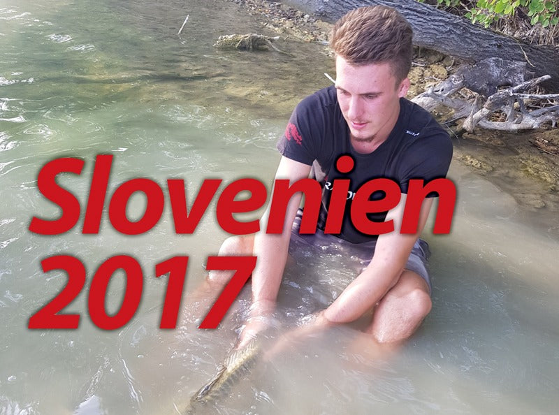 SLOWENIEN 2017