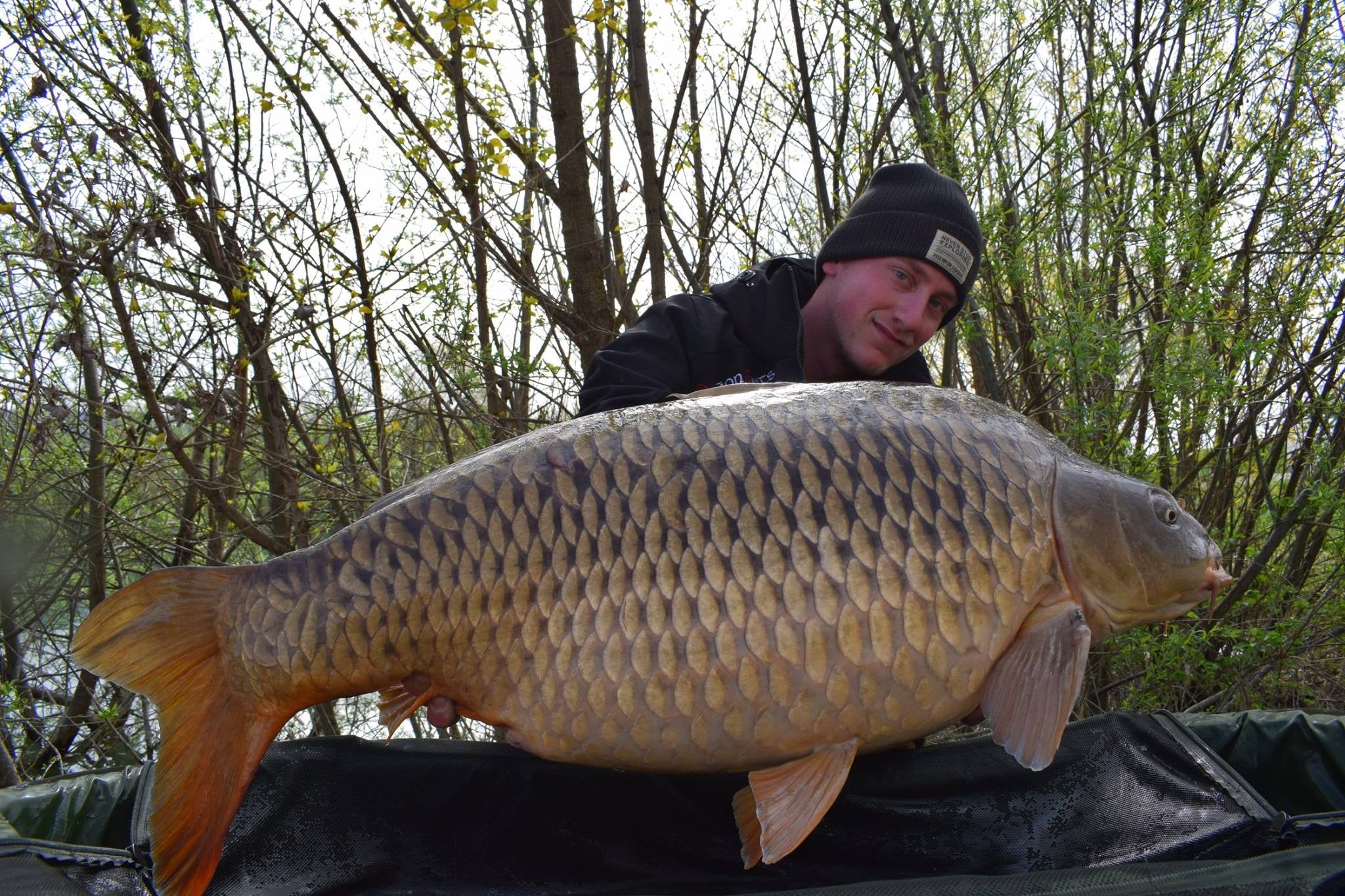THE WAY TOO SUCCSESS, HN-1 THE BIG FISH CATCHER