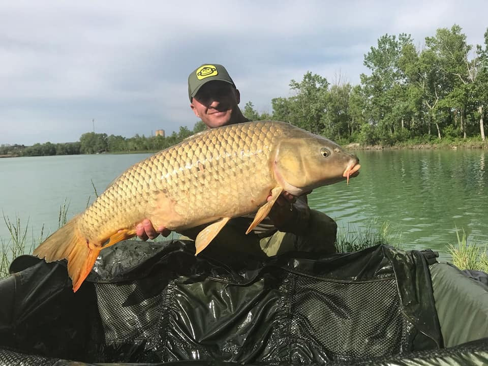 KUNDENFANG - GESTERN GEKAUFT UND AM NÄCHSTEN TAG ERFOLGREICH