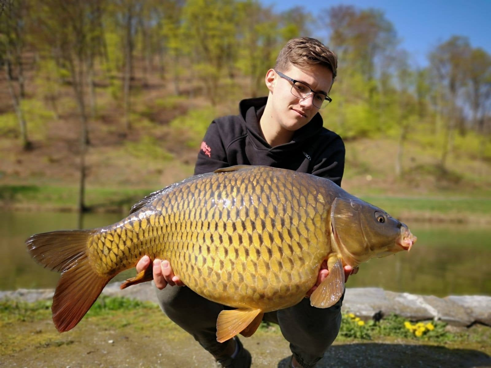 Michi erfolgreich mit Dragonblood Wafter