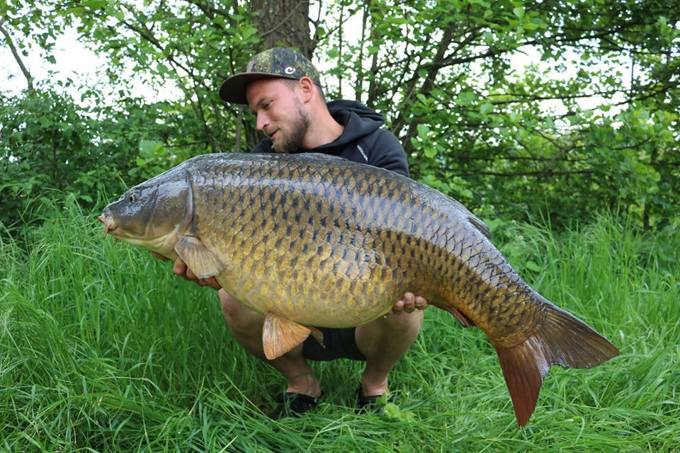 Schuppenbrett für Daniel