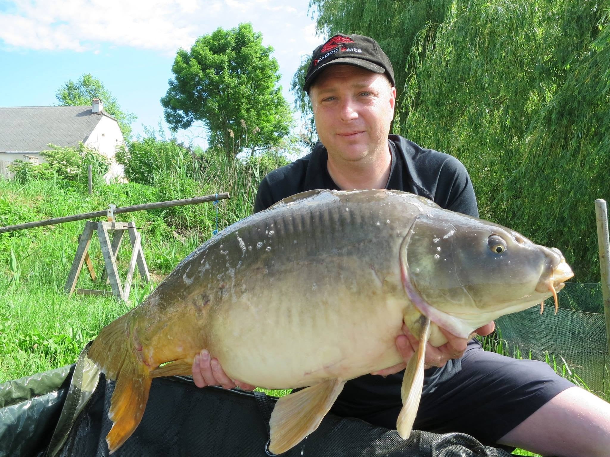 THOMAS & SILVIA ERFOLGREICH MIT DRAGONBLOOD
