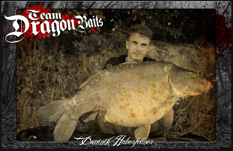 DOMINIK HABERFELLNER VERSTÄRKT DAS TEAM-YOUTH