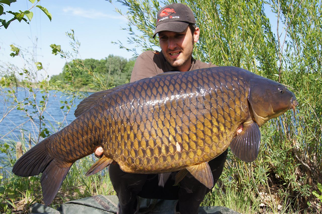 THE DARK FORCE STORY ...