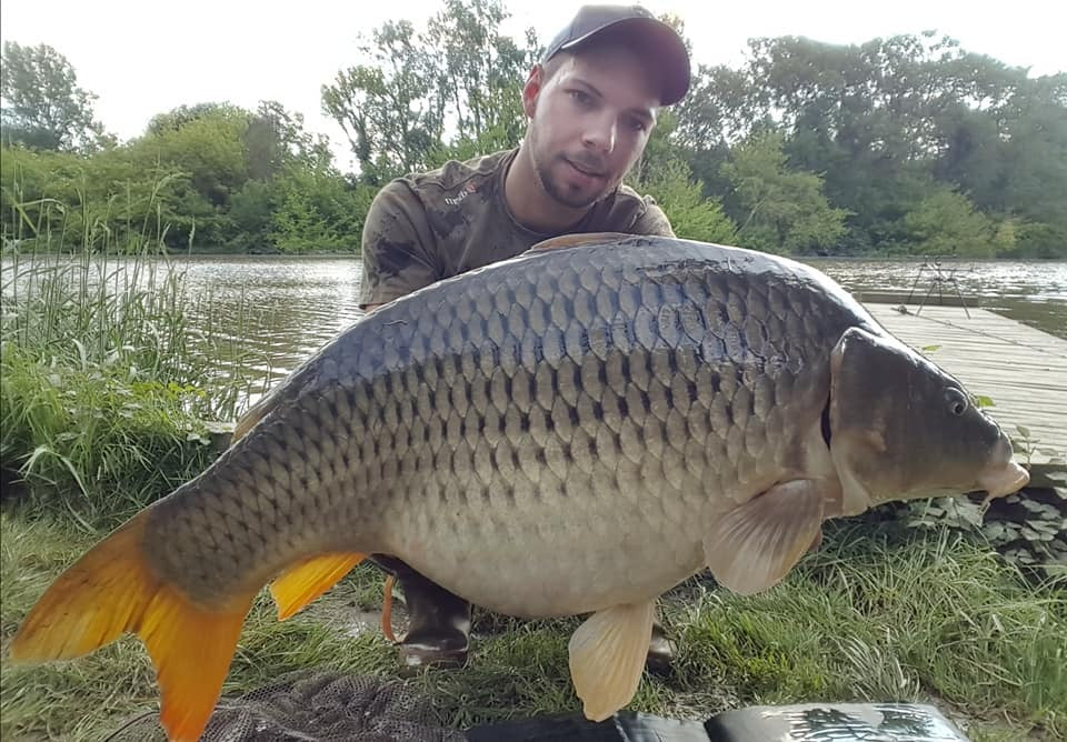 Donau Altarm Erfolg für Alex